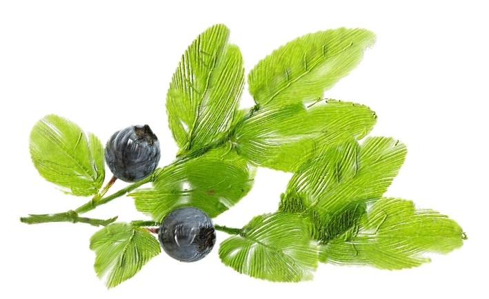 Natural Compressed Face Masks – DIY Sheet Masks