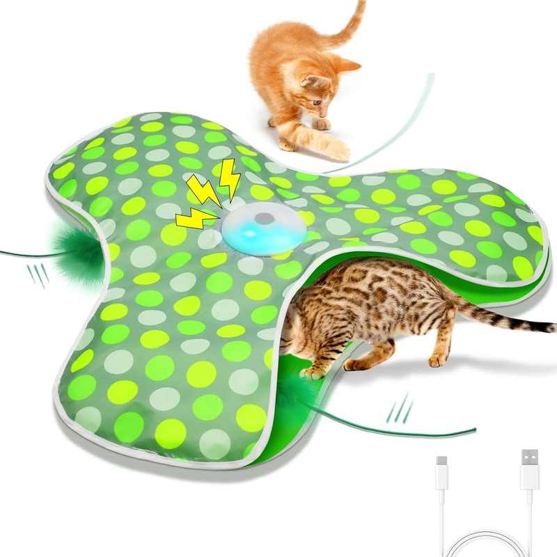 Interactive Hide-and-Seek Cat Toy – Motion-Activated Feather Spinner