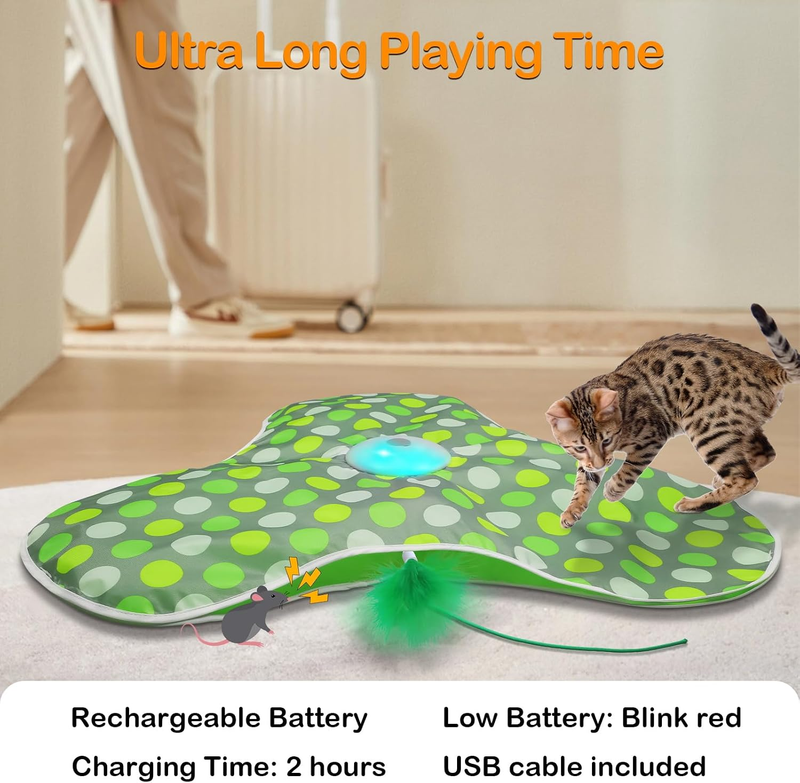 Interactive Hide-and-Seek Cat Toy – Motion-Activated Feather Spinner