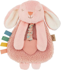 Itzy Ritzy Lovey Including Teether, Teething Relief, 0+ Months (Pink Bunny)